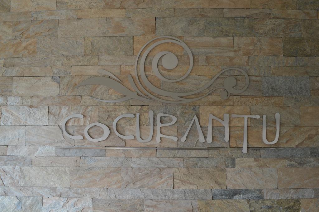 Cocurantu Hotel Boutique Pucón Kültér fotó